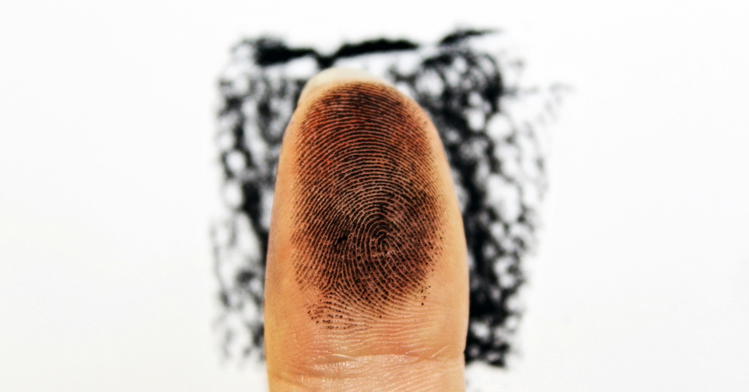 Do Insects Have Fingerprints?