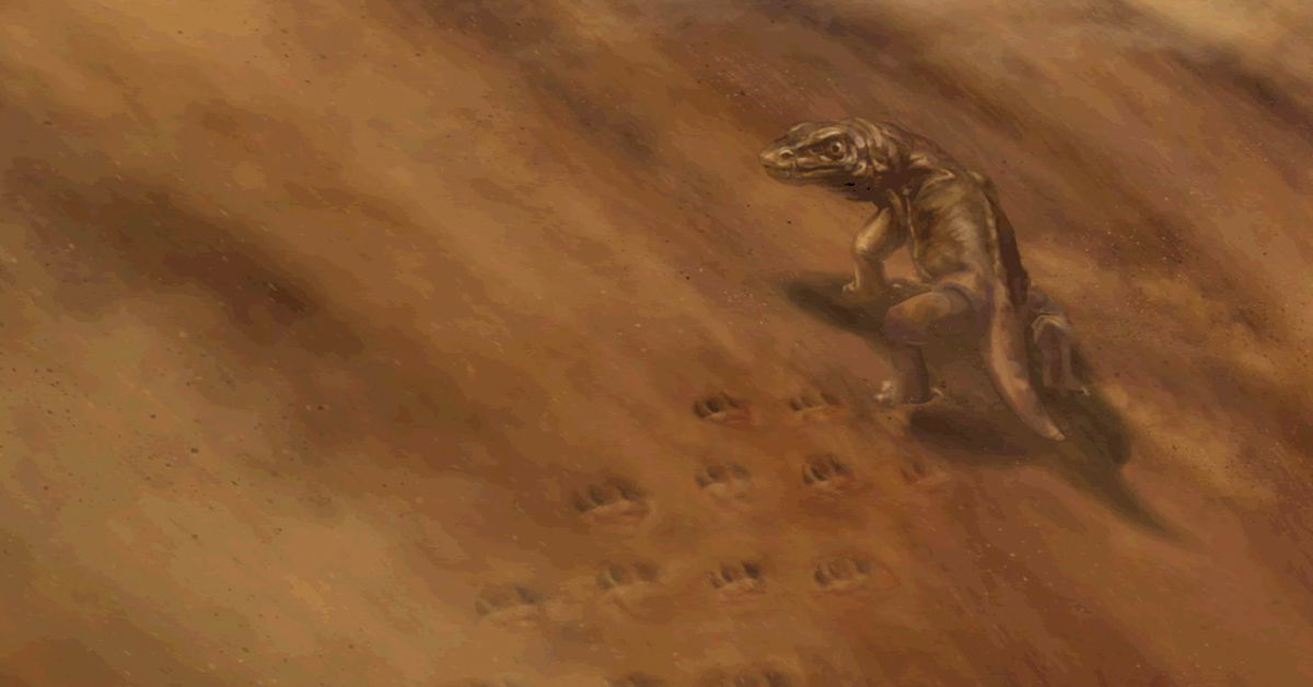 fossil footprints dinosaurs