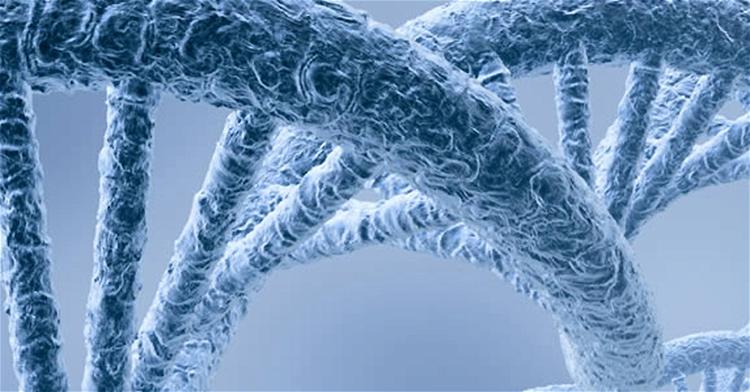 How DNA Reveals God’s Design