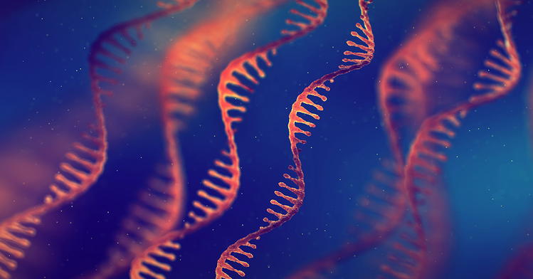 The Hidden Universe Secretly Shaping Our Lives: Noncoding RNA