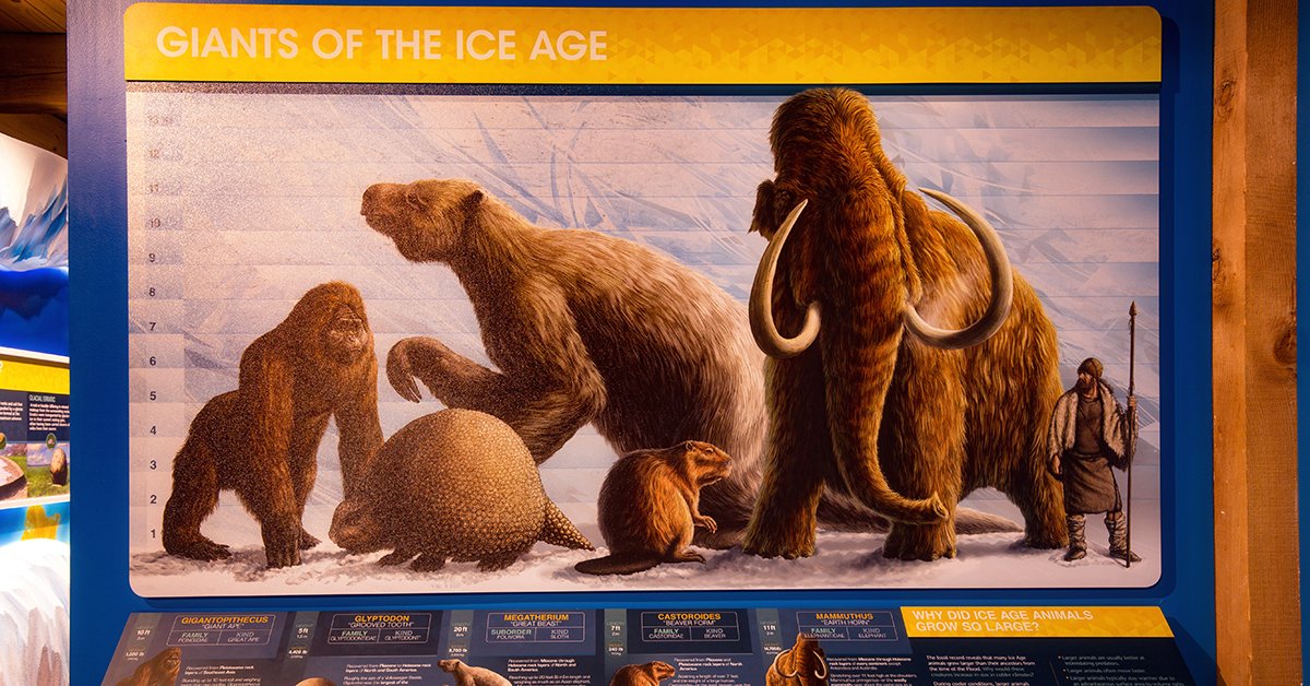 Why Were Ice Age Animals So Big? | Answers in Genesis