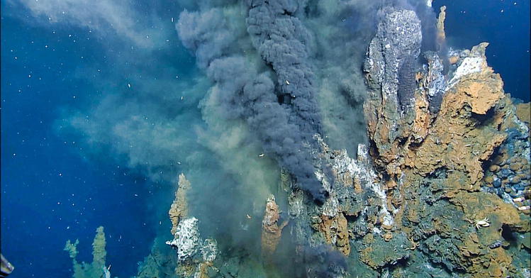 Deep-Sea Resources Could Help Fight Cancer and Wash Your Clothes