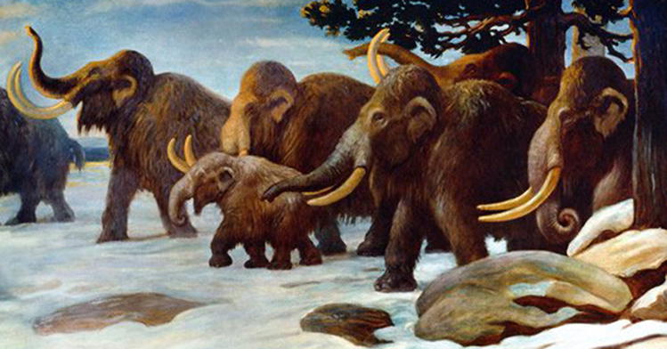 Why Were Ice Age Animals like Mammoths So Big?