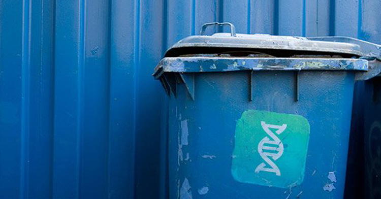 New Study Finds “Junk DNA . . . Some of the Most Powerful Code in Our Genome”