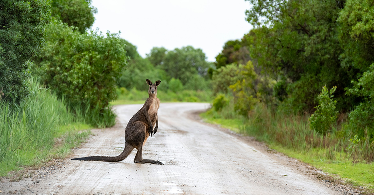 Can You Correctly Answer This Multiple-Choice Question?