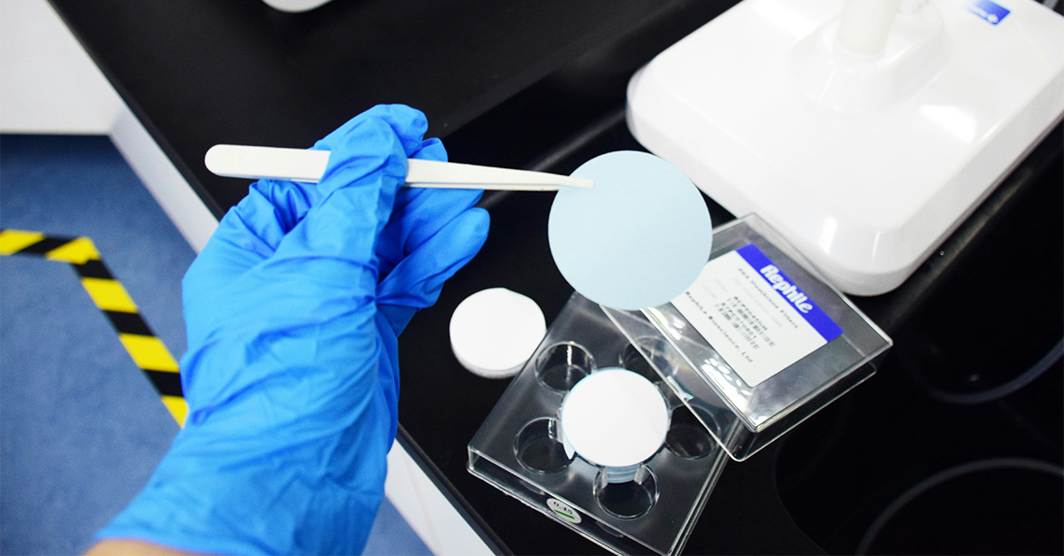 What Does Microplastics Contamination Have to Do with Creation?