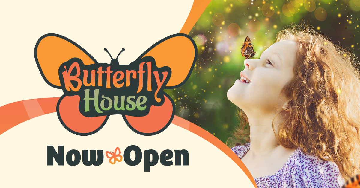 Creation Museum’s New Butterfly House Now Open