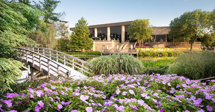 The Creation Museum Celebrates 19 Years