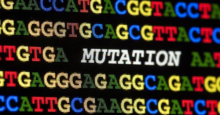 Are Beneficial Mutations More Common Than Assumed?