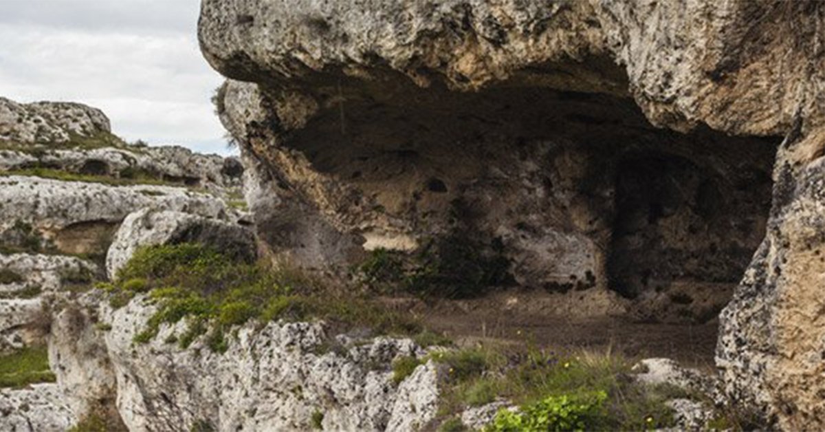 neanderthal house