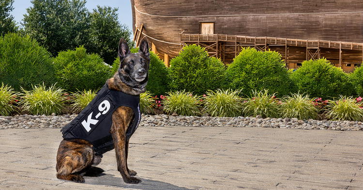 Local <cite>Courier-Journal</cite> Doggedly Maligns Us Yet Again