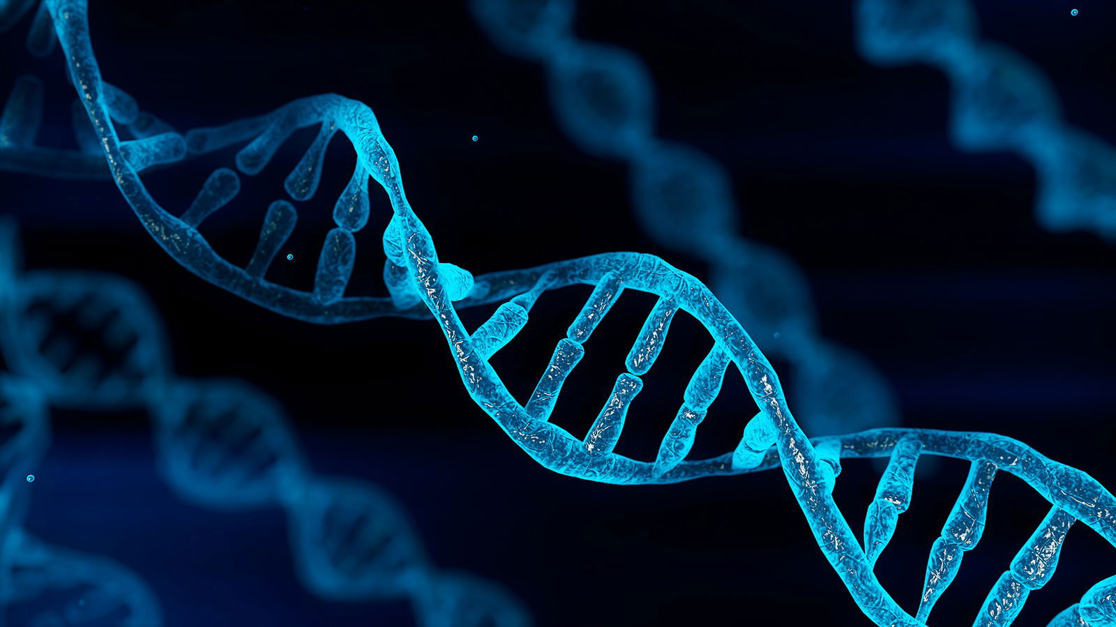 Latest in DNA Research Destroys Evolutionary “Proof”