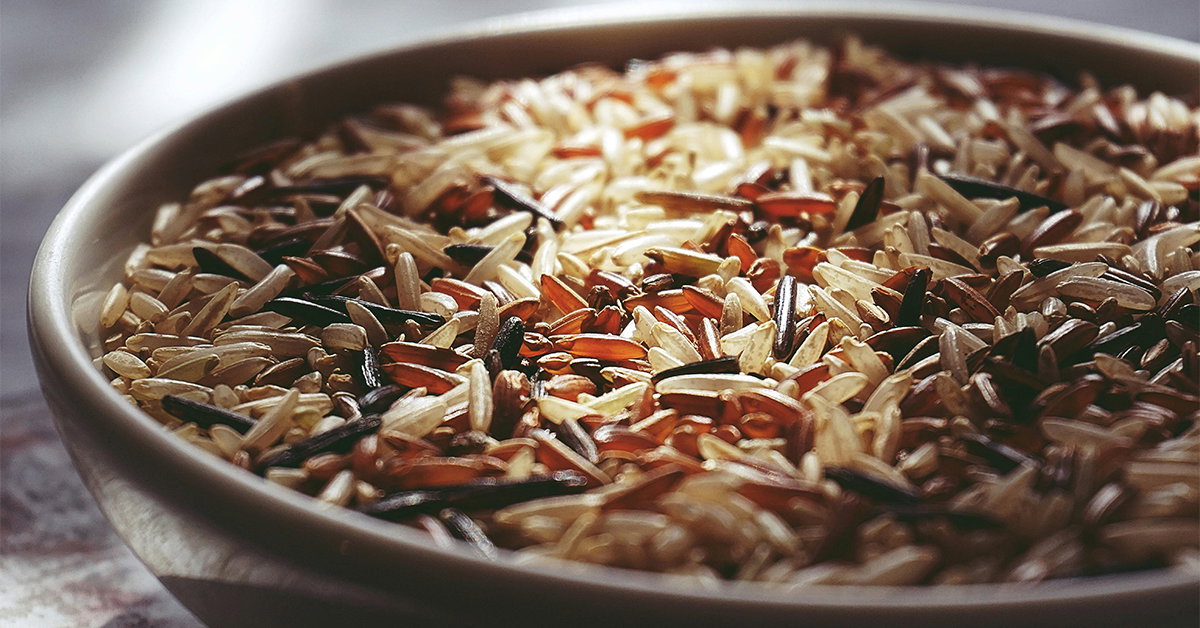 Minnesota Bill Argues for “Inherent Right to Life” . . . for Rice ...
