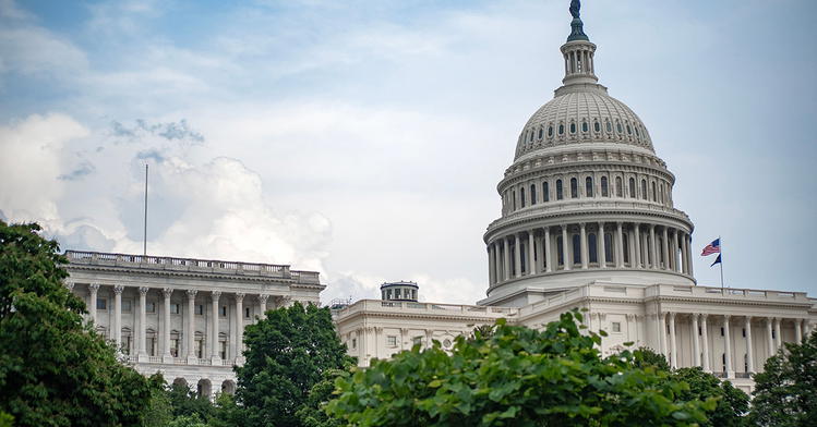 What Is the Role of Government?