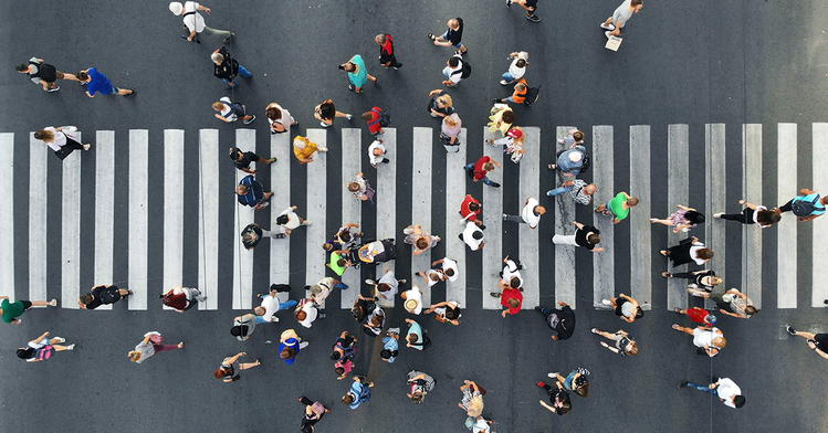 New Study Says Human Population Needs to Be Cut in Half
