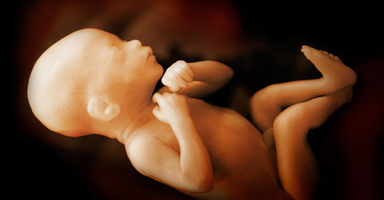Three Biblical Truths for Sanctity of Life Sunday