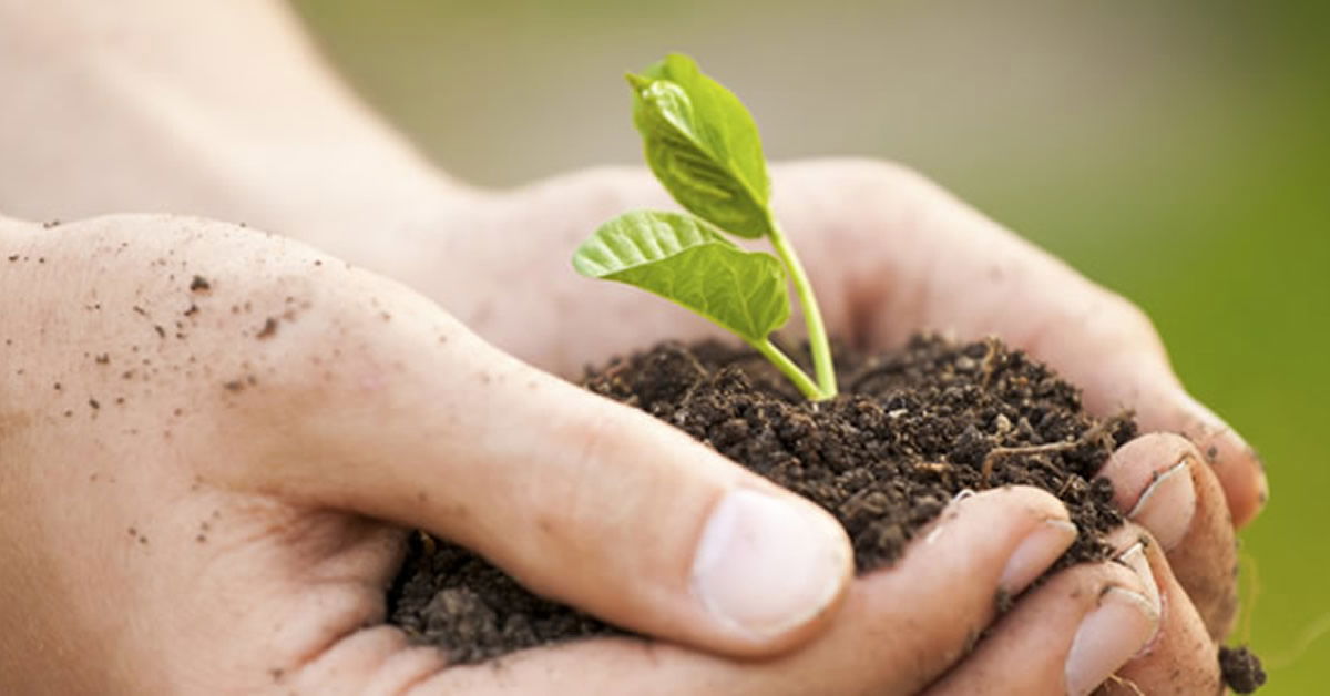 World Environment Day A Reminder We re Stewards Of God s Creation 