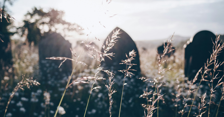 All of This Death Has Got Me Thinking