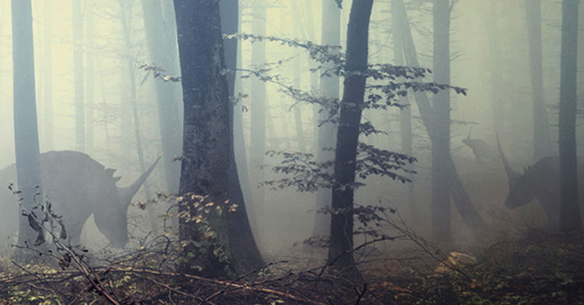 Unicorns—“More Legit Than You Think”? Answers in Genesis