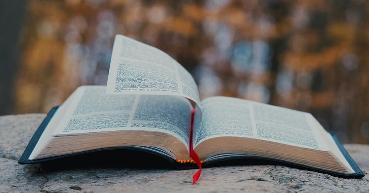 Four Compelling Truths in the Bible’s Recorded History