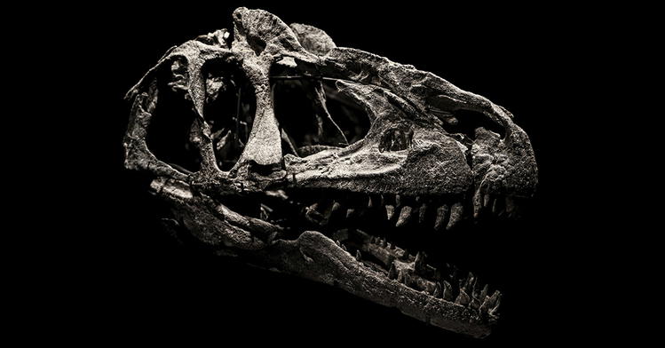 Should English Bibles Include the Word <i>Dinosaur</i>? A Deeper Look at Key Terms Reveals That Biblical “Dragons” Were Not Dinosaurs