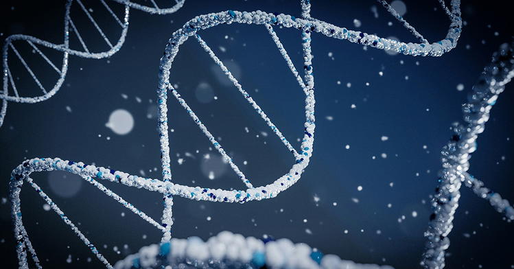 Beyond Chance: A Cryptographic Analysis of the Origins of DNA