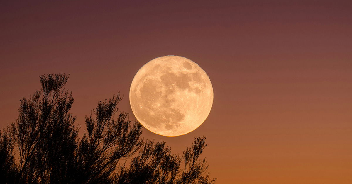 A Walk on the Beach, a Walk on the Moon, and Newton’s Third Law