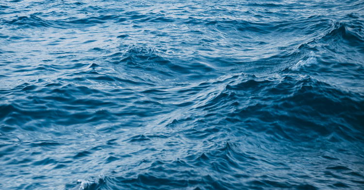 Dr. Hugh Ross’ Recent Claims About Noah’s Flood: Does Scripture Agree?