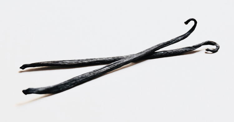 Not Just Another “Vanilla” Archaeological Find