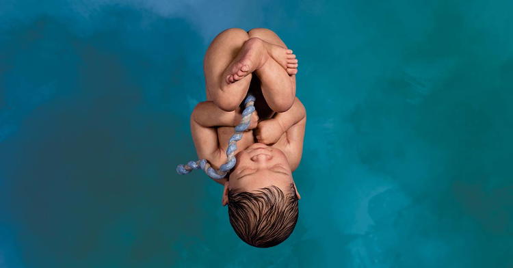 The Wonder of Life in the Womb