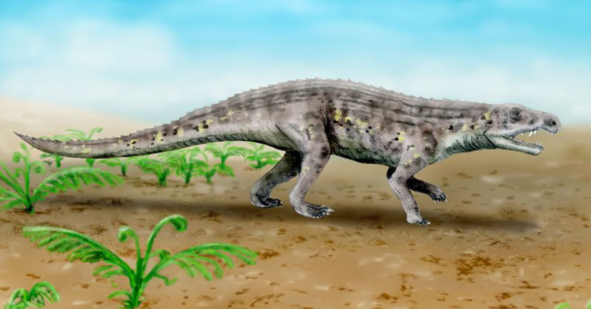 Early Dinosaurs Thrived by Becoming Bipedal? | Answers in Genesis