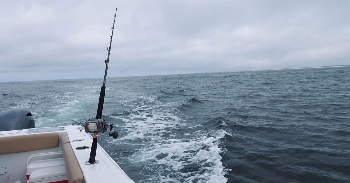 The Boys Get Skunked (Vlog Episode 23)