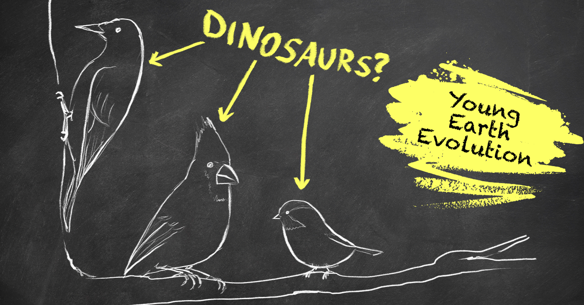 Birds To Dinosaur: Flaws of the Dinosaur-Bird Hypothesis