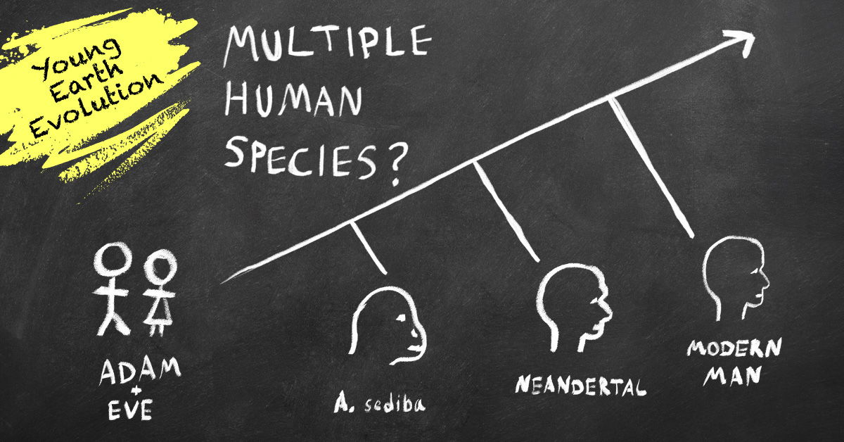 are-there-multiple-human-species-answers-in-genesis