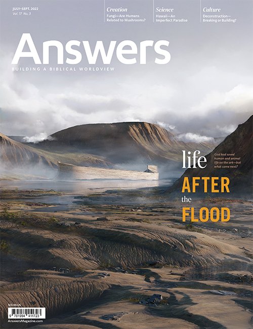 17.3 Answers Magazine Cover