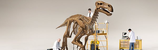 Building a Better Dinosaur