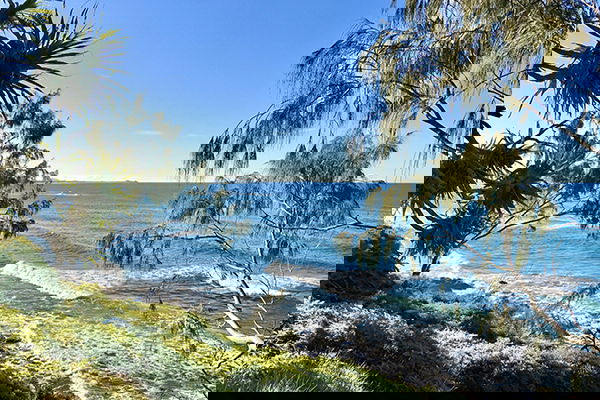 Suncoast Christian College