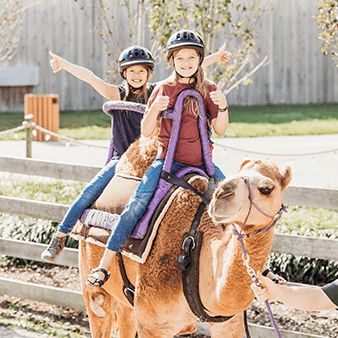 Children riding a camel