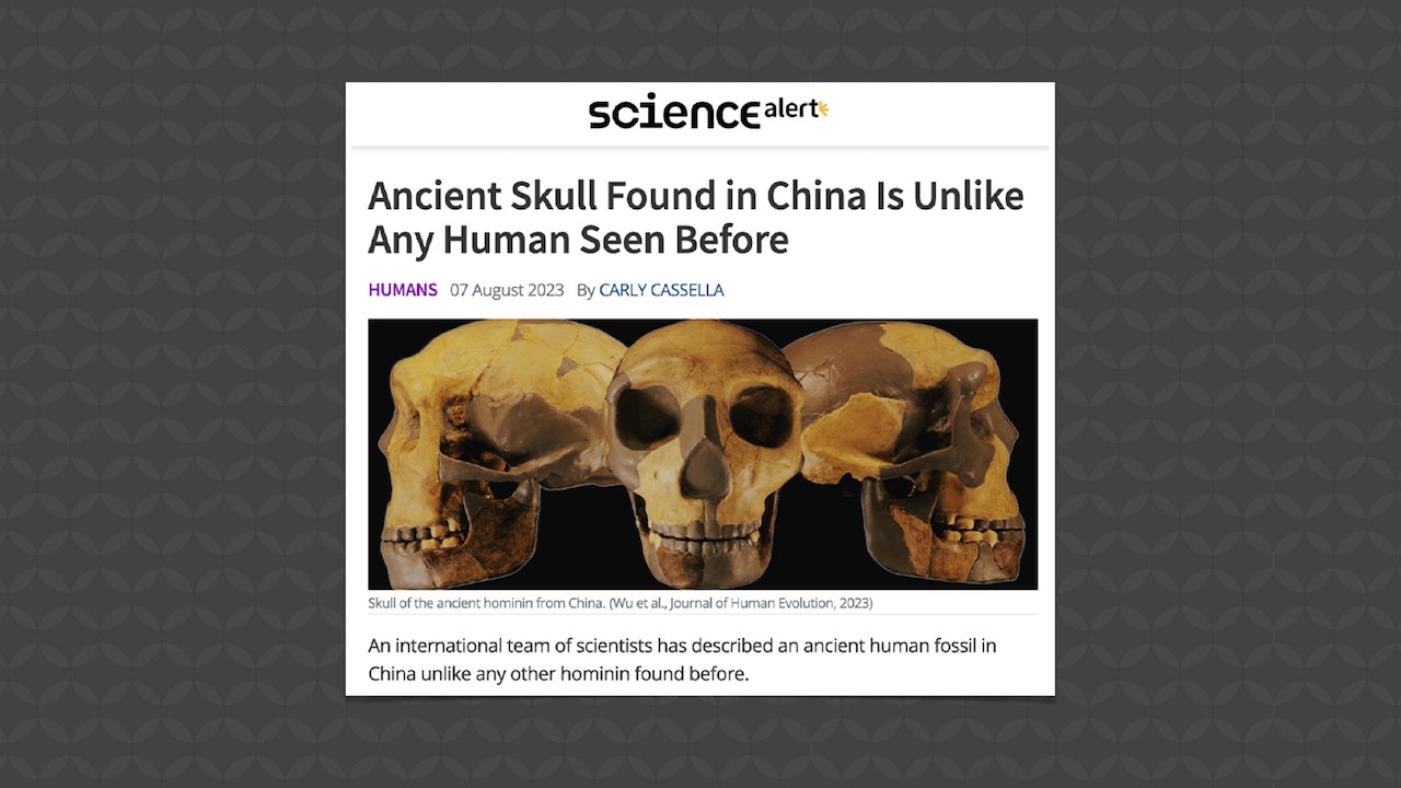 An Ancient Skull Could Prompt the Founding of a New Human Species