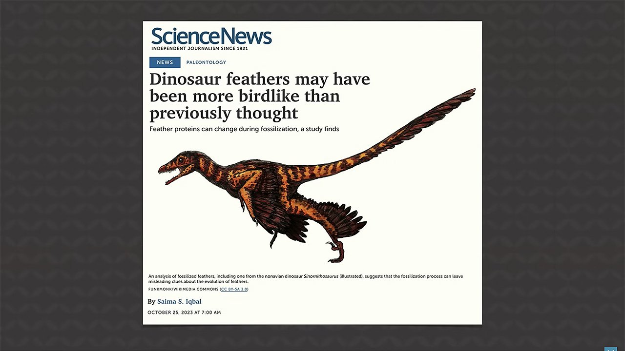 Dinosaur feathers may have been more birdlike than previously thought