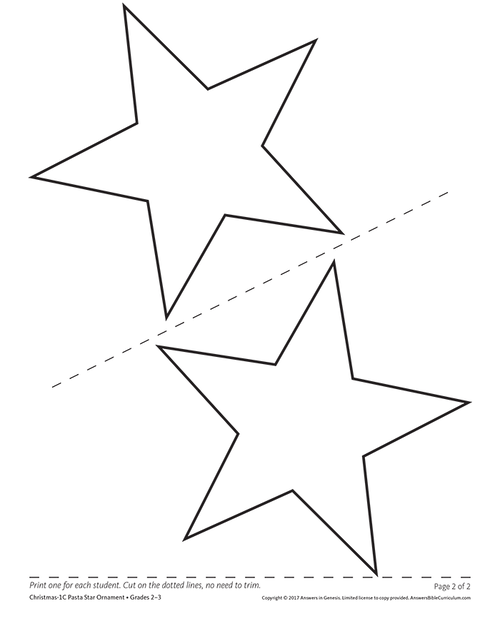 Pasta Star Ornament