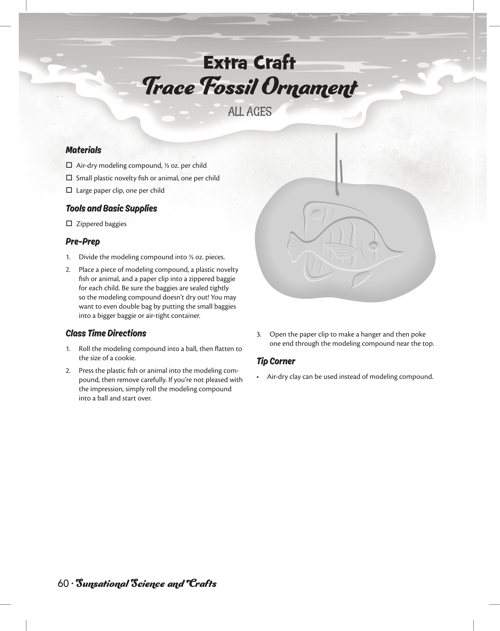 Trace Fossil Ornament