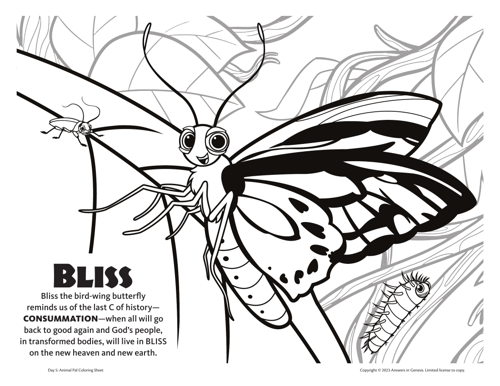 Bliss the Birdwing Butterfly