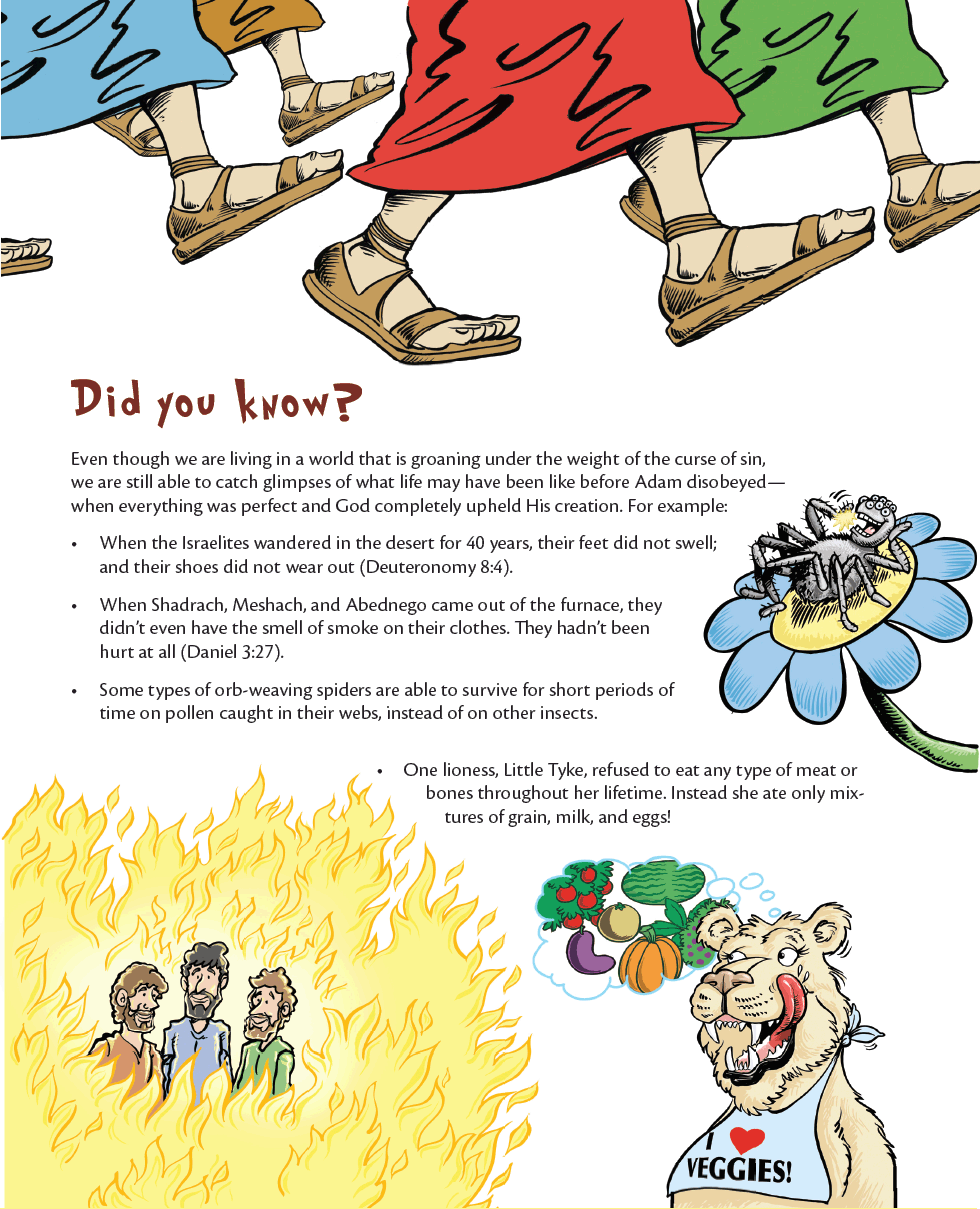 Lesson 26 Why Are Snakes So Scary? (Kids Quiz Activity) Kids Answers