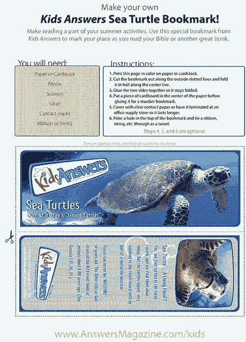Sea Turtle Bookmark