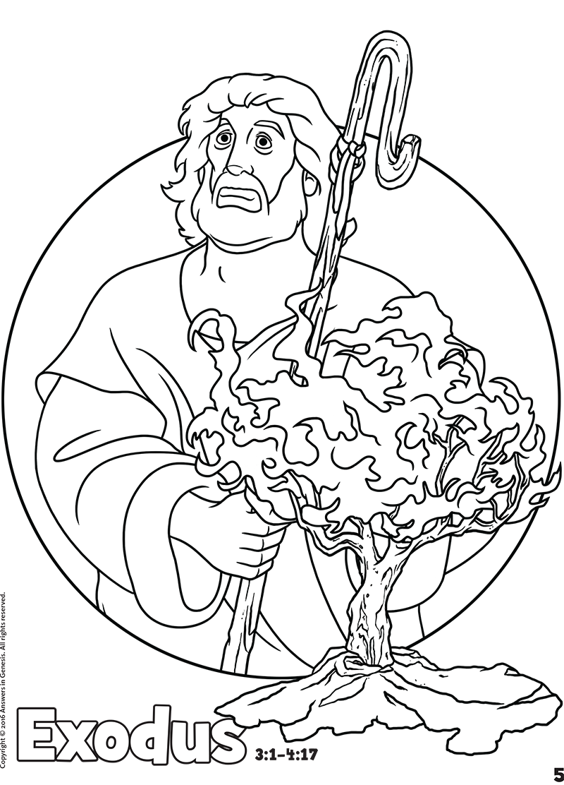 Book Of Exodus Bible Coloring Page For Children - vrogue.co