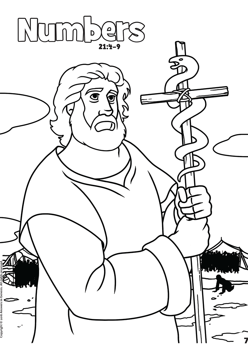 Numbers: Books of the Bible Coloring (Kids Coloring Activity) | Kids