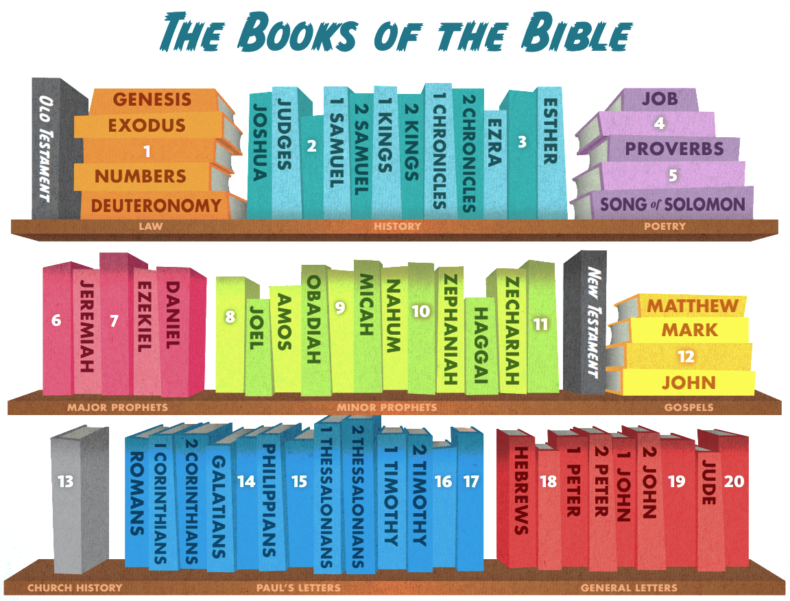 how-are-the-books-of-the-bible-divided-qbooksf