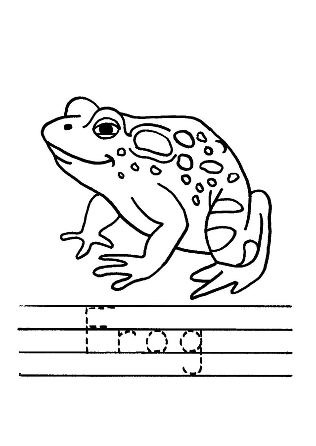 Color the Frog