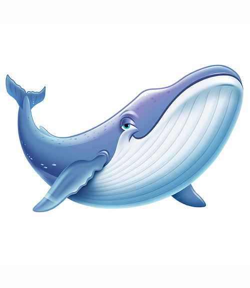 Blue Whale Bookmark